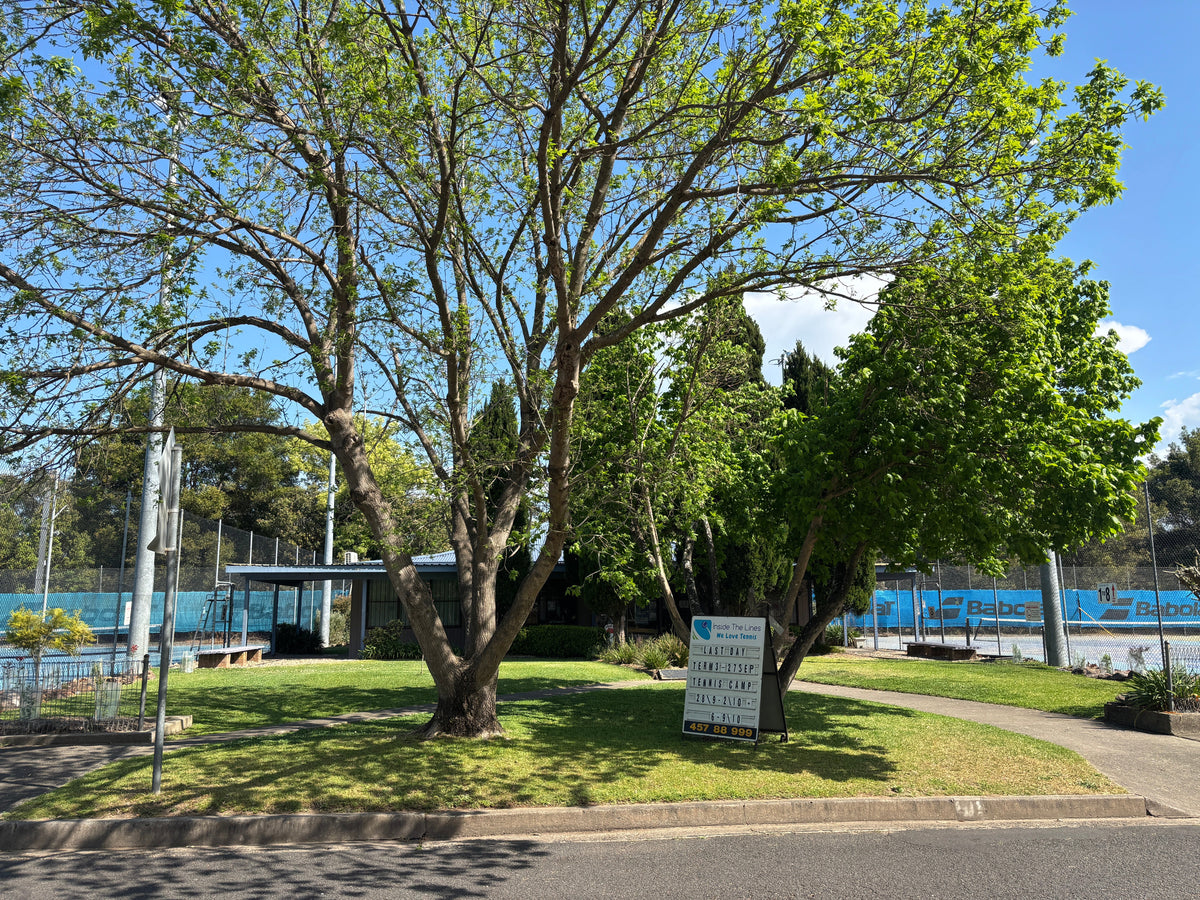 Hawkesbury Gazette Article on the Richmond Tennis Centre